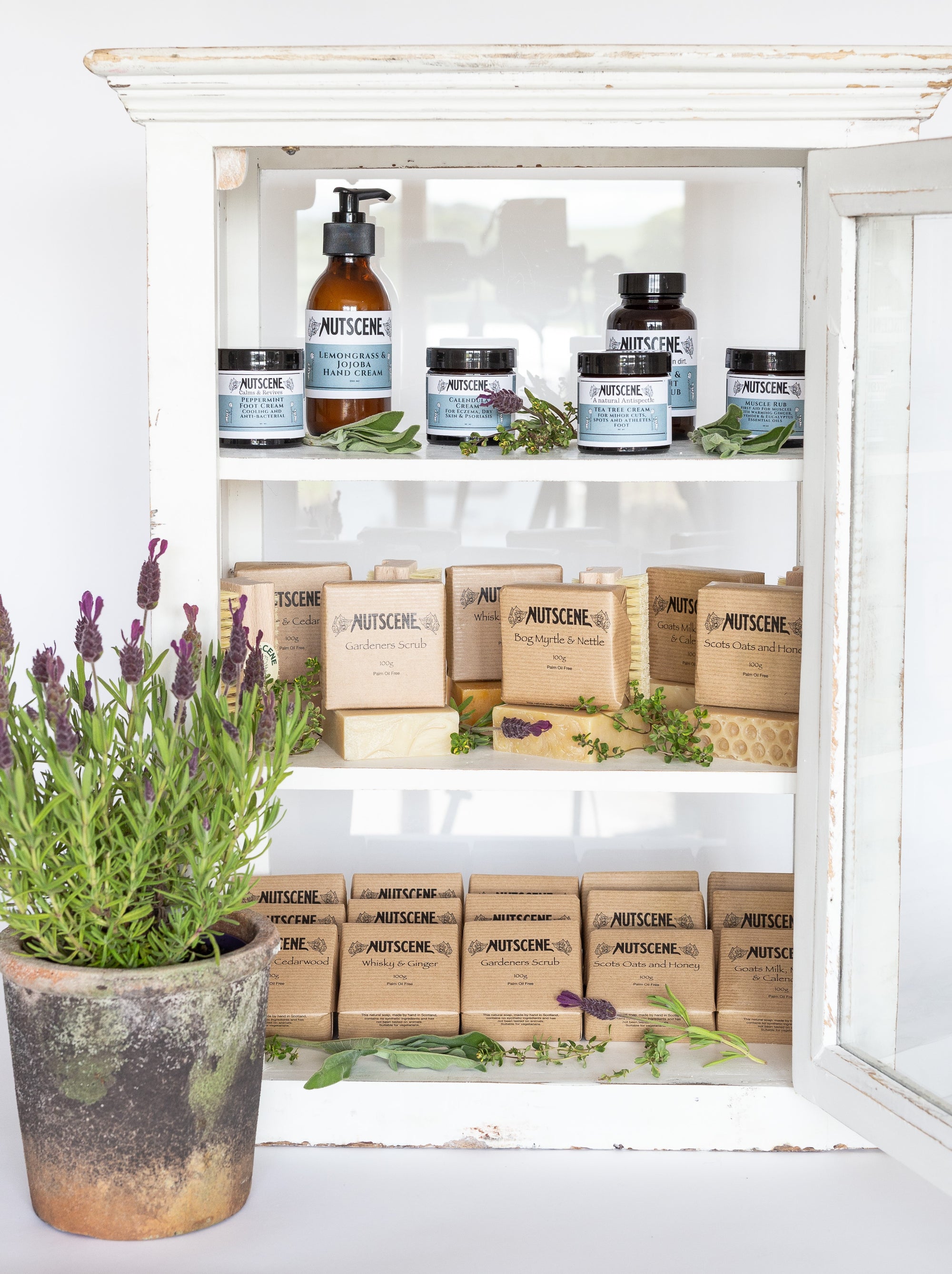 Garden and Hobby -New Offers