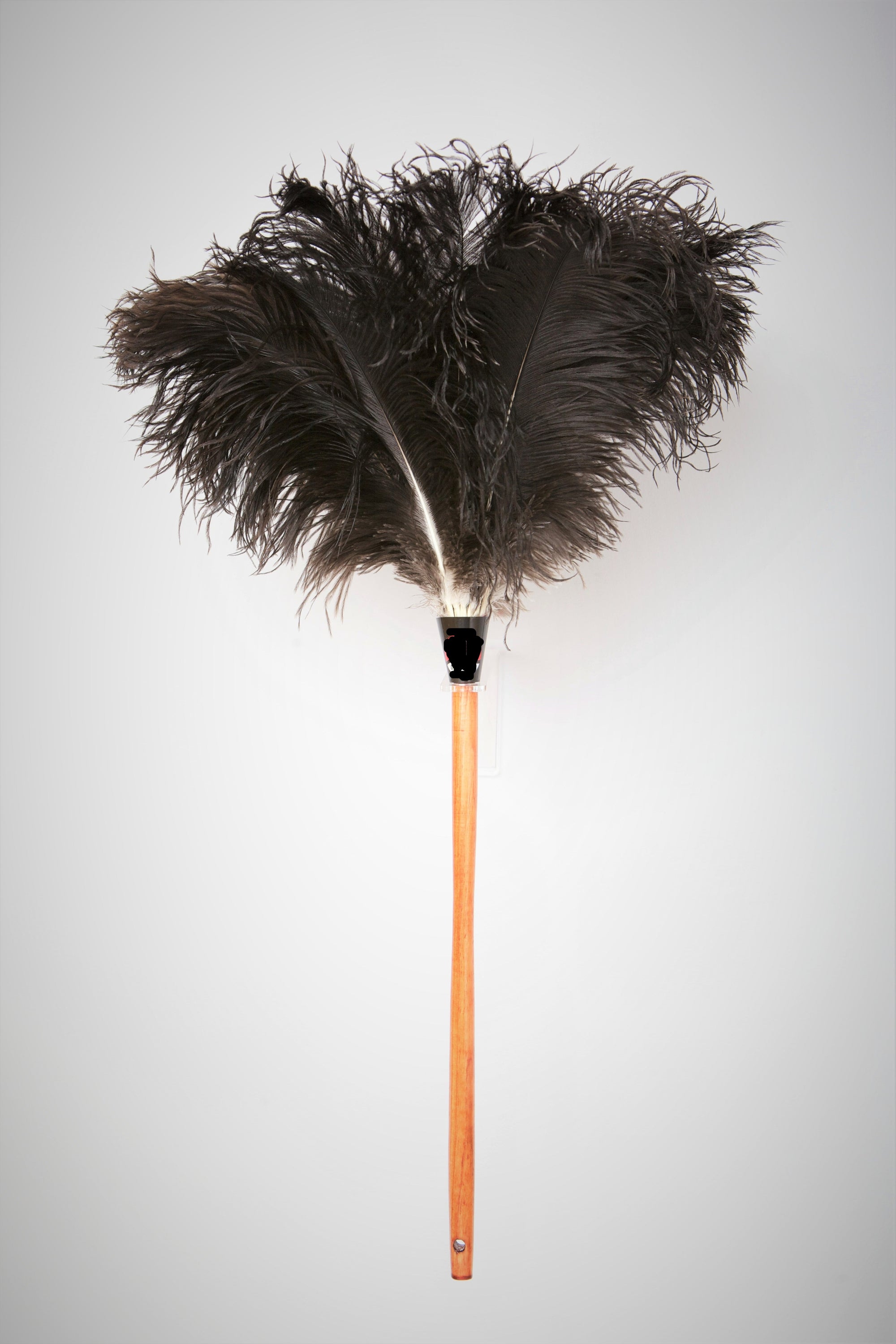 Ostrich Feather Duster