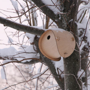 Make your own Bird Bothy - A Home Away from Home for Little Birds