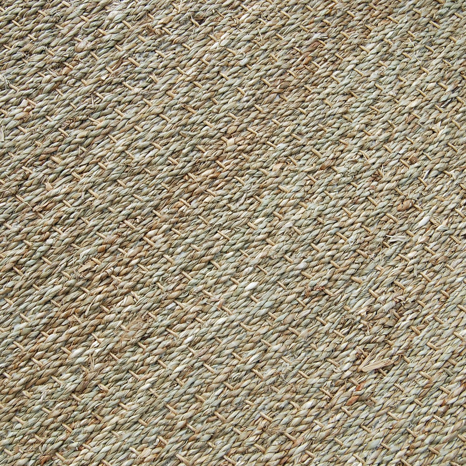 Nutscene® Natural Seagrass Rug